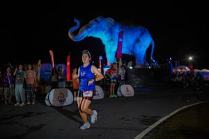 BIB: 
                            <button type="button" onclick="openModal(26551879)" class="btn btn-primary btn-sm float-right btn-popup" data-toggle="modal" data-target=".modal-high-quality">
                        <i class="fas fa-shopping-cart"></i> Add to Cart
                    </button>
                                            <button type="button" onclick="isThisMe(26551879, true)" class="btn btn-success btn-sm float-right btn-popup btn-isme hidden" data-toggle="tooltip" data-placement="bottom" title="นี่คือรูปของคุณใช่ไหม คลิกที่นี่เพื่อเอาเข้าอัลบั้ม">
                        <i class="fas fa-plus"></i> Add to album
                    </button>
                    <button type="button" onclick="isThisMe(26551879, false)" class="btn btn-warning btn-sm float-right btn-popup btn-isnotme hidden">
                        <i class="fas fa-ban"></i> Remove from album
                    </button>